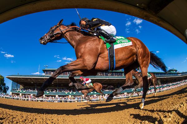 Gin Gin, Longines Breeders' Cup Distaff, Del Mar, America's Best Racing, horse racing, ABR 
